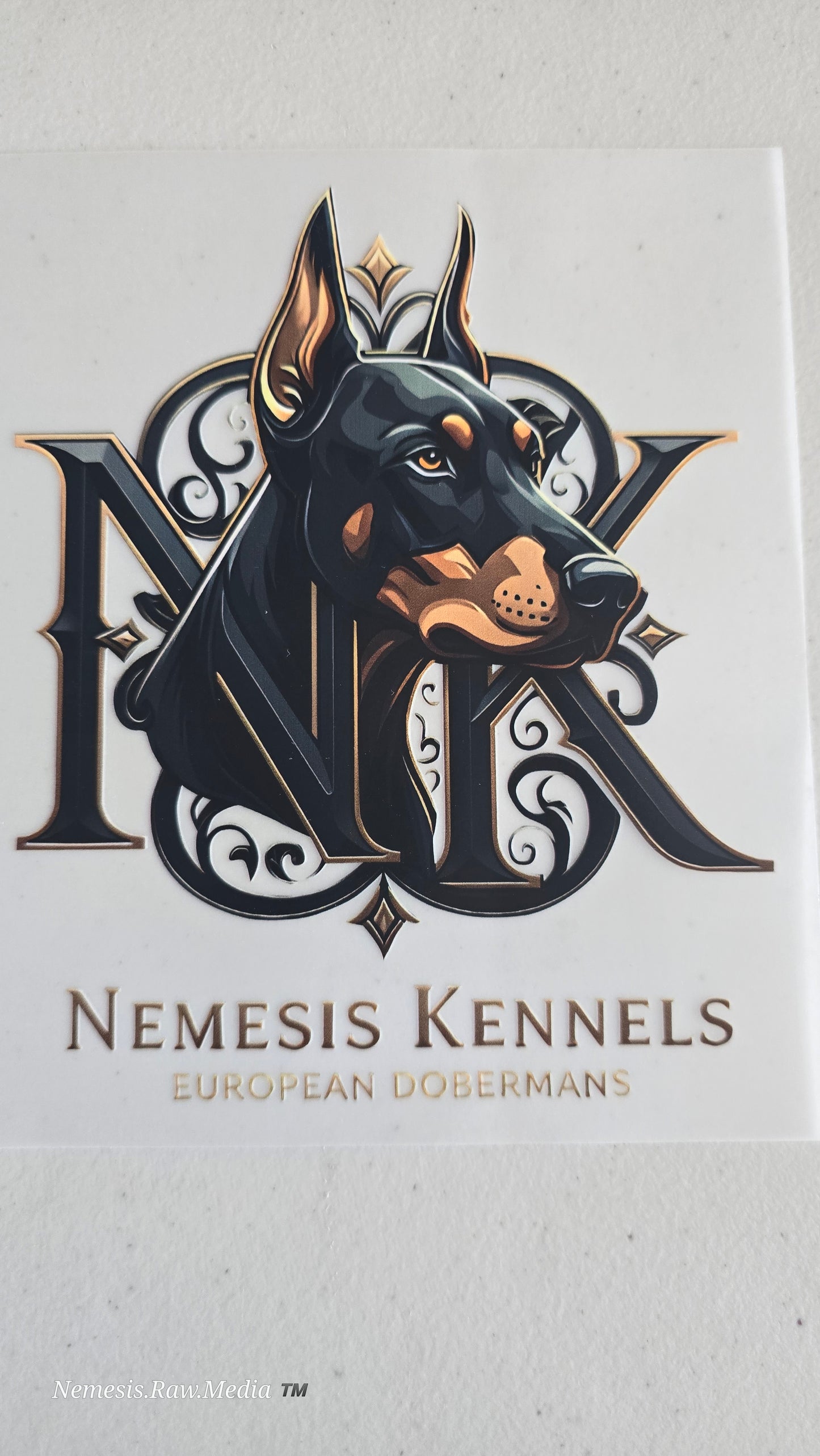 Nemesis 2025 Logo shirt